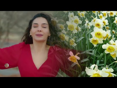 Cserháti Zsuzsa -