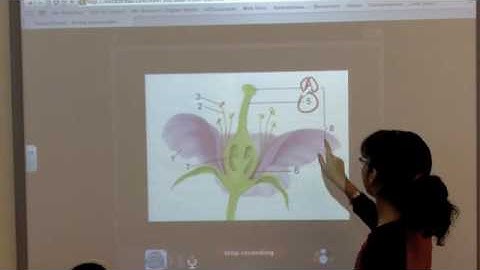 VoiceThread Doodle.mov