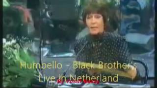 Black Brothers-Huembello #Live in Netherland