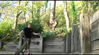 Shadow Traceurs - Beginnings
