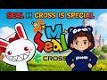 What Makes Seal M Cross Special? PvP, Couple, Fishing &amp; More Than Just Grinding