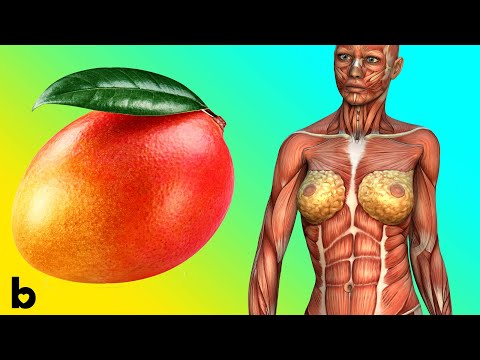 Video: Kunnen mango's verbranden - Leer hoe je zonnebrand van mango kunt stoppen