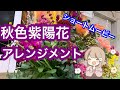 秋色紫陽花っていい仕事するよねって話