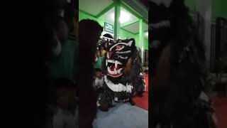 Download Lagu Can Macanan Madura Feat Hadrah New Alfata || Live In Muharto Gg 7 MP3