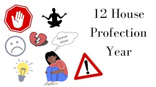 12 House Profection Year (experience, advice, challenges)