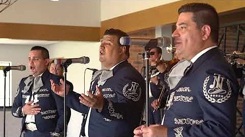 MARIACHI NUEVO TECALITLN / GEMA