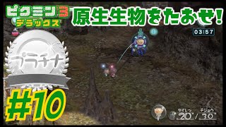 原生生物をたおせ【10】続・草花の園｜ピクミン3デラックス 攻略｜ミッション｜日曜家族 Gaming