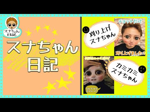 【スナちゃん日記】引越しはつらいよ！