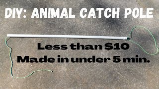 How To Make An Animal Catch Pole Under $10.00 | Holds Big Dogs!