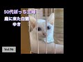 【保護猫】vlog #96 庭に来た白猫を保護しました