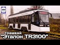 Новинка! Трамвай “Эталон TR3100”. Проект «Транспорт Украïни» | New! Tram “Etalon TR3100”.