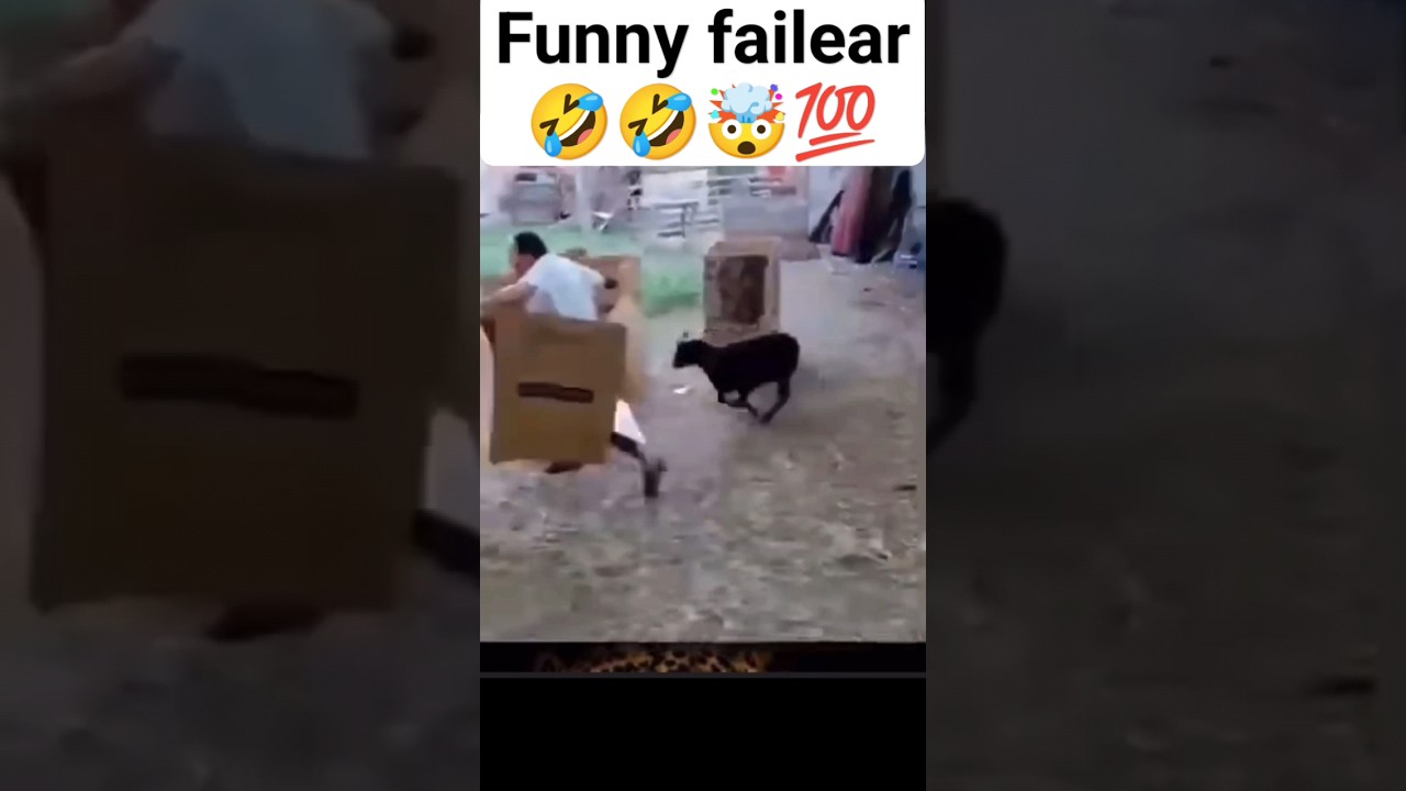 funny failear 🤣🤣🤯💯