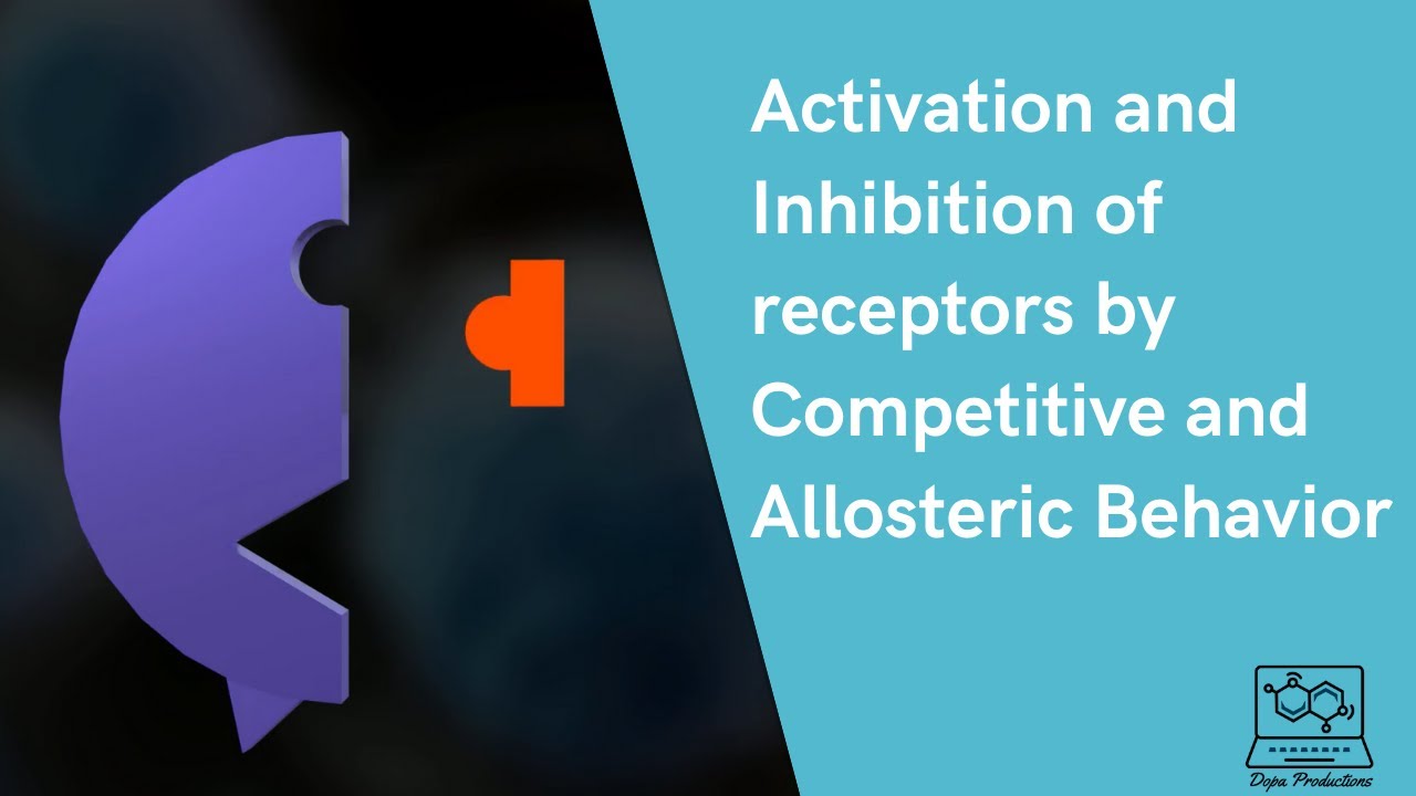 Activation and Inhibition of receptors by Competitive and Allosteric ...