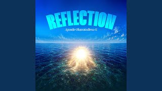 Reflection