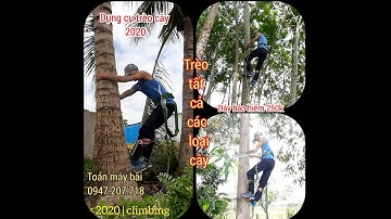 Hướng dẫn trèo cây | cựa trèo cây 2020 | toản máy bãi 0947207718 | 0941797478 #tmb