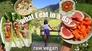 What I eat in a day RAW VEGAN🌱🥑 | delicious & holistic raw meals (I felt AMAZING after this!)