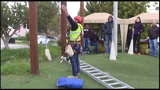 Work at Height