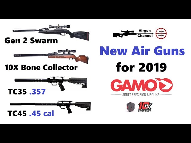 PACK CARABINE GAMO ADULTE IWA 2019 Cal. 5.5, 19.9 Joules