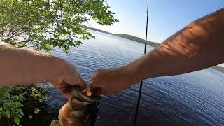 Love That June Largemouth Bite!