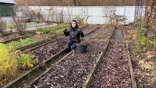 Супер плодородная грядка своими руками без удобрений видео