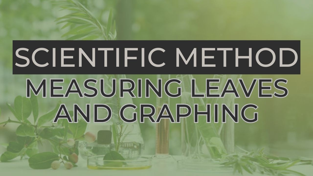 Scientific Method Lab: Measuring and Graphing - YouTube