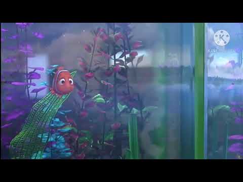 Finding Nemo - Nemo Try To Stop Water Filter