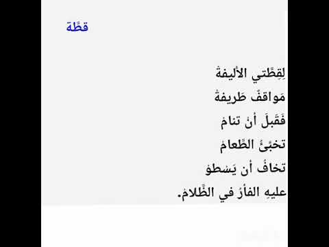 قطة قصيدة أسعد الديري قراءة زولا