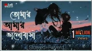 তোমার আমার ভালোবাসা সাগরের চেয়েও বিশাল।Bangla Romantic song | Slower reverb Lofi