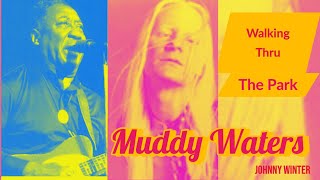 &quot;Walking Thru The Park&quot; - Muddy Waters Cover | With Johnny Winter 1977