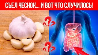 Съел ЧЕСНОК... и вот что случилось! Польза и Вред