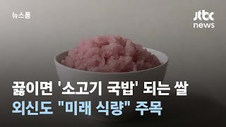 끓이면 '소고기 국밥' 되는 신종 쌀…외신도 "미래 식량" 주목 / JTBC 뉴스룸