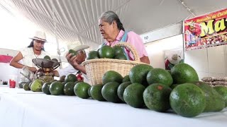 Mexican avocado producers worry as Trump threatens border closure