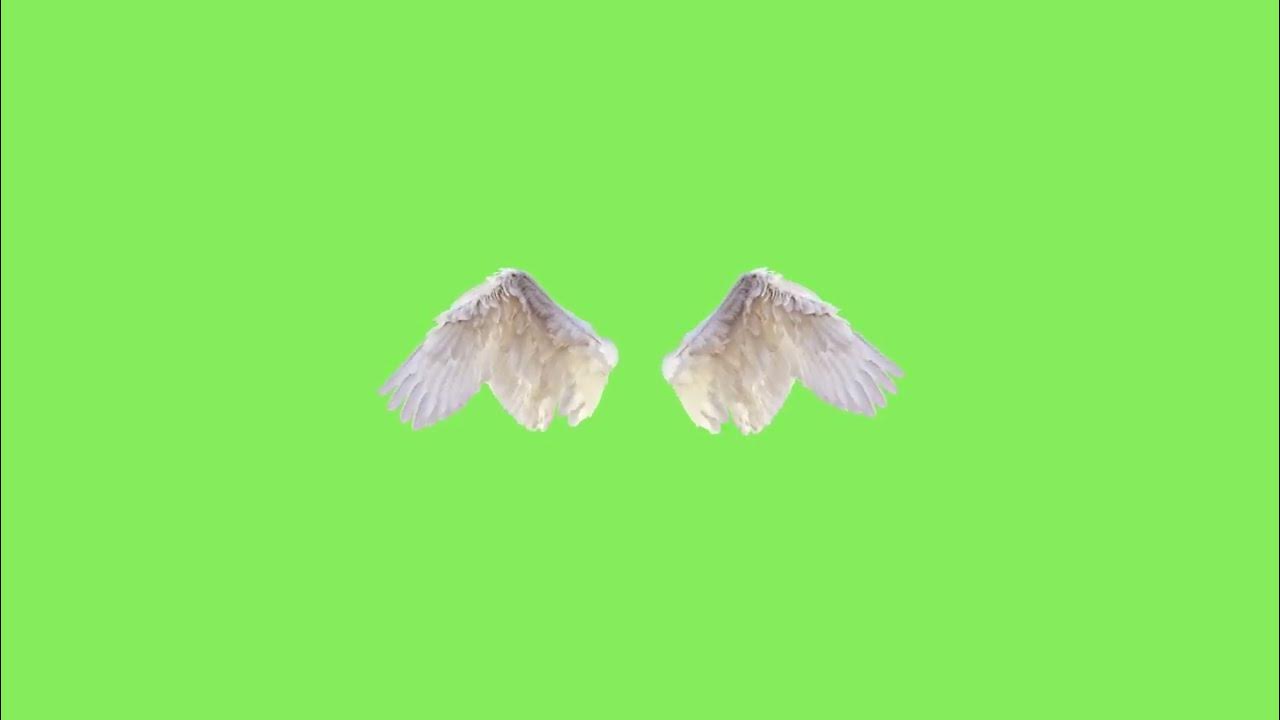 Зеленые крылья фото Devil wings green screen 2 Editing template 12 2TS templates ♏ YouTube