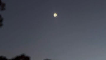 the wicked shall reign (visualizer)