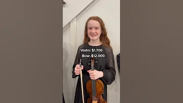 Family of 12 Instrument Cost Roll Call (part 1)🥰😘🎻 #shorts