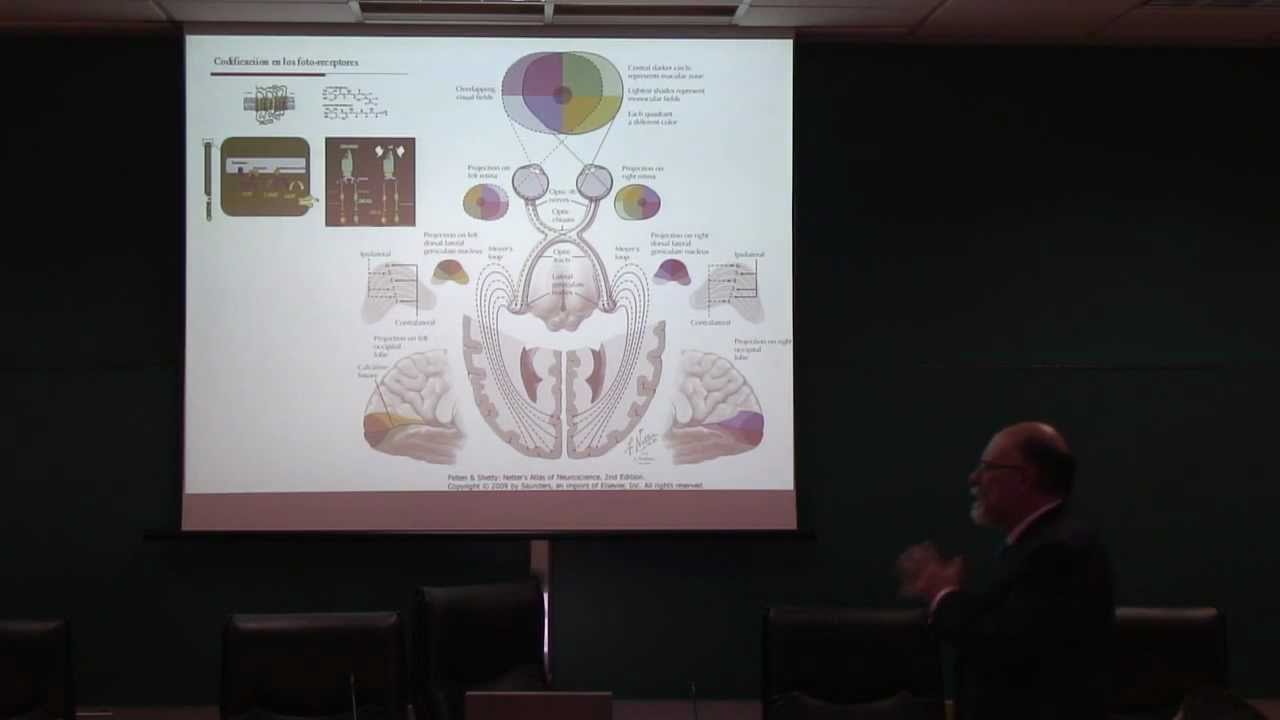 navarra pais vasco Ritmos cerebrales, complejidad y consciencia. Julio Artieda. Universidad de Navarra