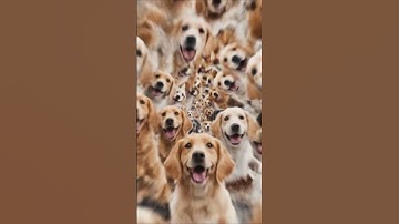 The Real Difference Between Veo3 google and Human Video Editors for Cinematic Results