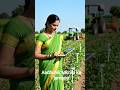 aadhunik takniki #agriculture #motivationalstory #khesarilalyadav #shortsvideo