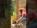 Unseen Throne: An Invisible Toilet! 🚽✨[DIY] #Shorts #InvisibleToilet #throne #WC #viral