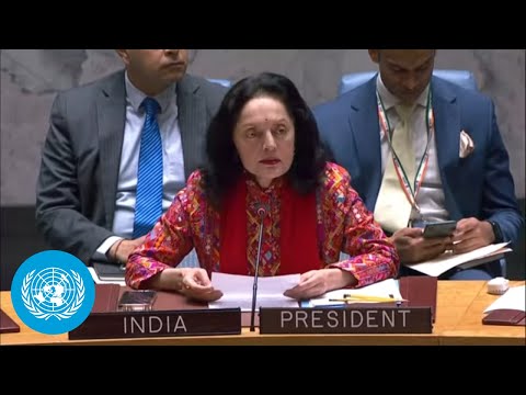 Ukraine: maintenance of peace and security- security council (12 december)