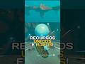 Subnautica 2: Recursos Muito RAROS! Ninhada de Asa Funda e Fezes de Caranguejo!! #subnautica2