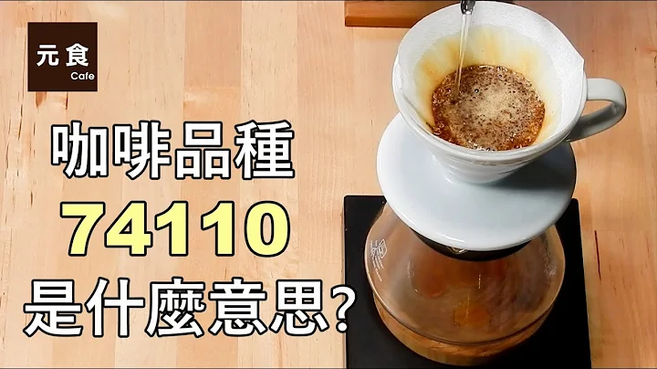 新矚目品種-咖啡品種74110是什麼意思?-元食咖啡-What is 74110? Ethiopia Washed Sidamo Single Variety 74110 -YUAN CAFE- - 天天要聞