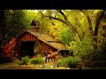 Enchanting music for meditation and relax  background for massage  yoga  calming music for sleep