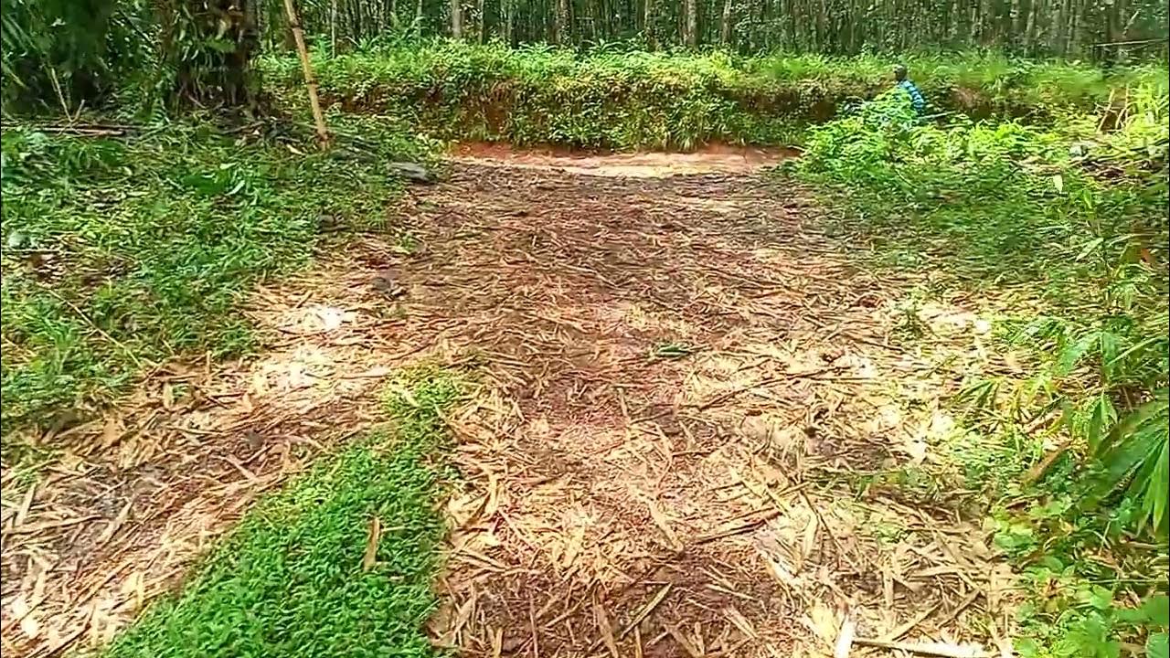 Land For Sale Inside Mount Barclay Not Far From The Road land-for-sale-inside-mount-barclay-not-far-from-the-road