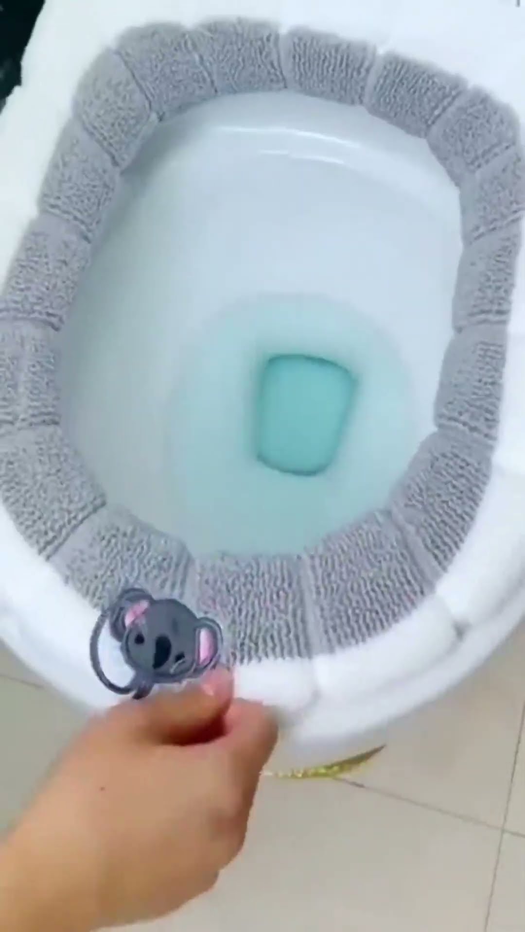 Toilet seat cover