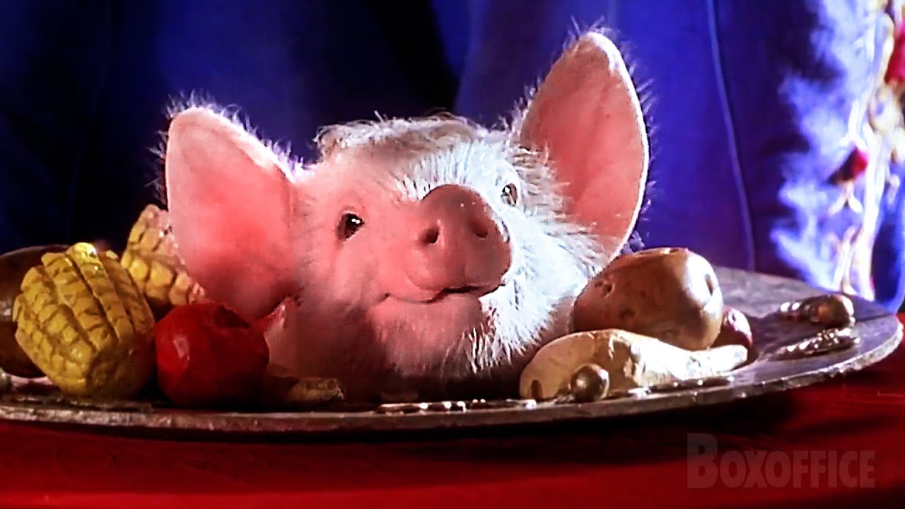 Un acto de magia con un cerdito | Babe el puerquito va a la ciudad | Clip en Español