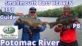 Video for Shallow water fishing adventures llc potomac river