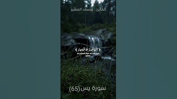 الْيَوْمَ نَخْتِمُ عَلَىٰ أَفْوَاهِهِمْ | ما تيسر من سورة يس | القارئ يوسف الصقير 🤍🤍