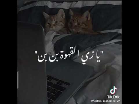 ارمياي رمش رمش الاهي منك متحرمش الاغنيه الجديده