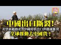 2.25【中國出口斷裂！】美禁新疆棉花，中國時裝出口供應鍊斷裂，全球推動去中國貨！